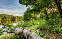 /upload/content/design/gallery/03_okolica/okolica_07.jpg