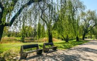 /upload/content/design/gallery/03_okolica/okolica_08.jpg