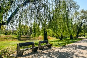 /upload/content/design/gallery/03_okolica/okolica_08.jpg